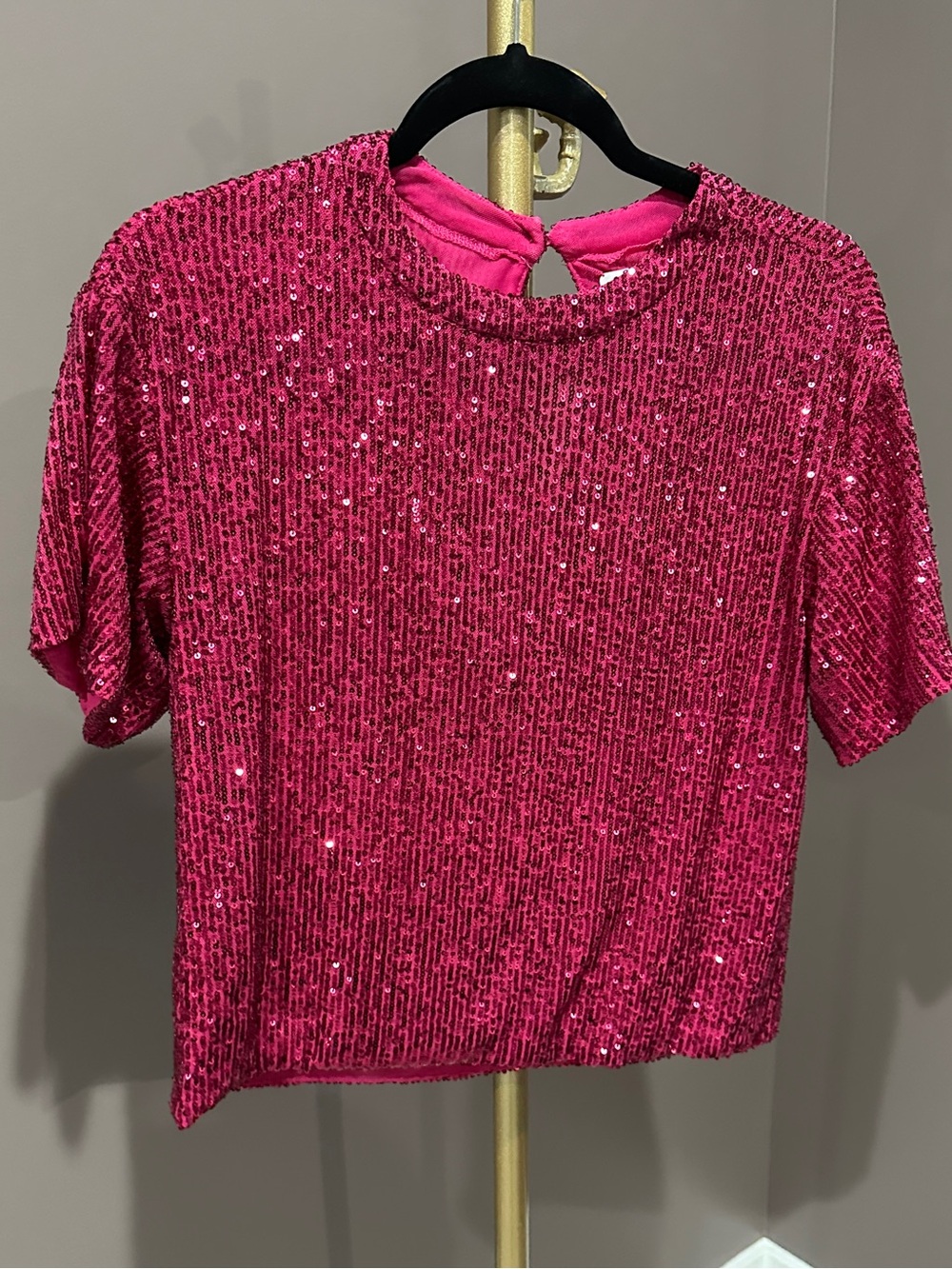 SAYLOR Hot Pink Sequin Crop Top